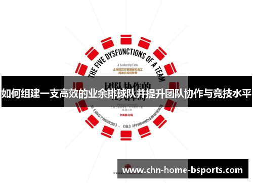 如何组建一支高效的业余排球队并提升团队协作与竞技水平