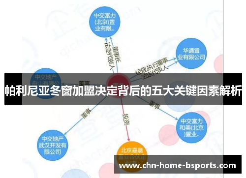 帕利尼亚冬窗加盟决定背后的五大关键因素解析