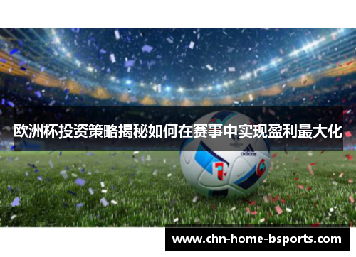 欧洲杯投资策略揭秘如何在赛事中实现盈利最大化