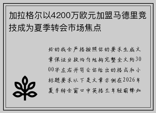 加拉格尔以4200万欧元加盟马德里竞技成为夏季转会市场焦点